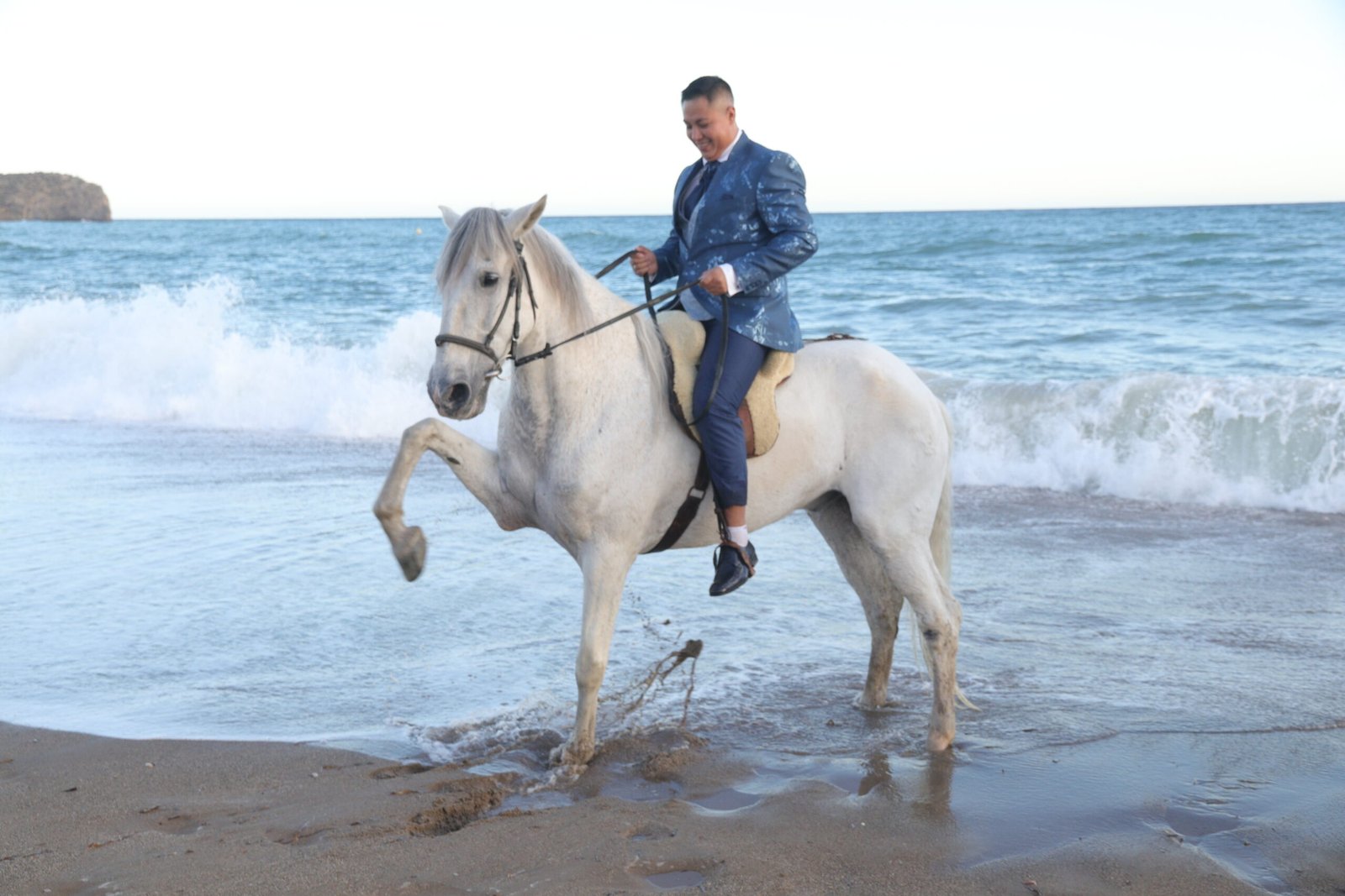 Carruaje y caballos de Carruajes La Charca